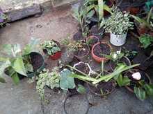 IEO La Leonera hace realidad un proyecto de innovaci&oacute;n en seguridad alimentaria