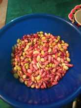 IEO La Leonera hace realidad un proyecto de innovaci&oacute;n en seguridad alimentaria