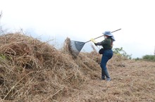DAGMA al territorio lleg&oacute; hasta el cerro de Los Cristales 