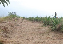 DAGMA al territorio lleg&oacute; hasta el cerro de Los Cristales 