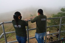 DAGMA al territorio lleg&oacute; hasta el cerro de Los Cristales 