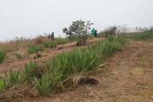 DAGMA al territorio lleg&oacute; hasta el cerro de Los Cristales 