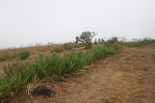 DAGMA al territorio lleg&oacute; hasta el cerro de Los Cristales 