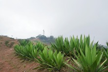 DAGMA al territorio lleg&oacute; hasta el cerro de Los Cristales 