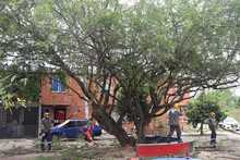 El oriente de Cali se viste de Verde Esperanza