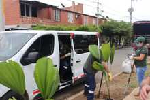 El oriente de Cali se viste de Verde Esperanza