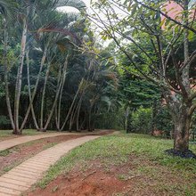 En Altos de Santa Elena se albergan m&aacute;s de 640 especies de aves