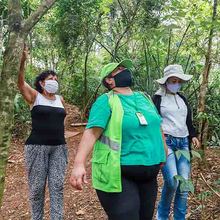 En Altos de Santa Elena se albergan m&aacute;s de 640 especies de aves