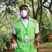 En Altos de Santa Elena se albergan m&aacute;s de 640 especies de aves