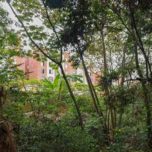 En Altos de Santa Elena se albergan m&aacute;s de 640 especies de aves