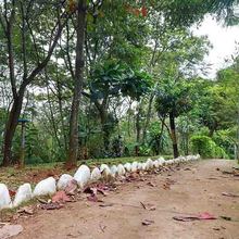 En Altos de Santa Elena se albergan m&aacute;s de 640 especies de aves