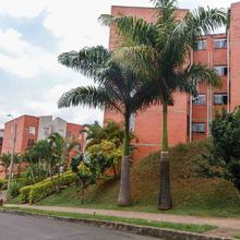 En Altos de Santa Elena se albergan m&aacute;s de 640 especies de aves
