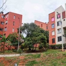 En Altos de Santa Elena se albergan m&aacute;s de 640 especies de aves