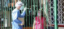 A domicilio atienden adultos mayores y personas con enfermedades de base