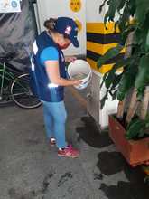 26 de agosto d&iacute;a mundial contra el dengue