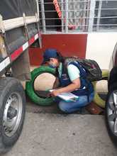 26 de agosto d&iacute;a mundial contra el dengue