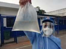 26 de agosto d&iacute;a mundial contra el dengue