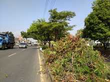 Comprometidos con el embellecimiento de la Autopista Suroriental