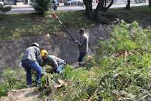 Comprometidos con el embellecimiento de la Autopista Suroriental