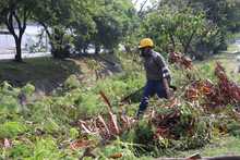 Comprometidos con el embellecimiento de la Autopista Suroriental