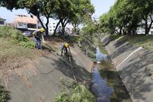Comprometidos con el embellecimiento de la Autopista Suroriental