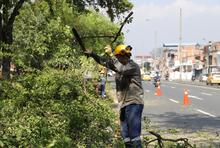 Comprometidos con el embellecimiento de la Autopista Suroriental
