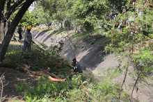 Comprometidos con el embellecimiento de la Autopista Suroriental