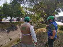 Comprometidos con el embellecimiento de la Autopista Suroriental