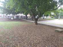 Zona verde de la comuna 10, barrio La Selva, antes de ser intervenida 