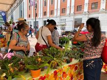 Tiendas campesinas y plazas de mercado ser&aacute;n zonas seguras para abastecerse