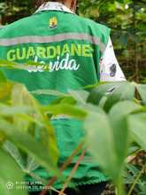 &iexcl;REAPERTURA BIOSEGURA EN CALI; #GUARDIANESDEVIDA SOMOS TODOS!