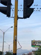  Red semaforizada de la calle 5&ordf;, vandalizada