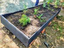 La Comuna 6 de Cali se uni&oacute; al proyecto Huertas por la Vida