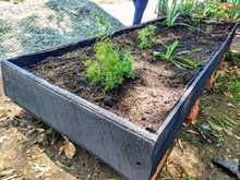 La Comuna 6 de Cali se uni&oacute; al proyecto Huertas por la Vida