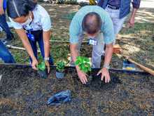 La Comuna 6 de Cali se uni&oacute; al proyecto Huertas por la Vida