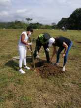 Con adopci&oacute;n de zonas verdes y siembra masiva, Dagma celebr&oacute; el D&iacute;a Nacional de la Biodiversidad