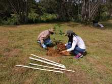 Con adopci&oacute;n de zonas verdes y siembra masiva, Dagma celebr&oacute; el D&iacute;a Nacional de la Biodiversidad