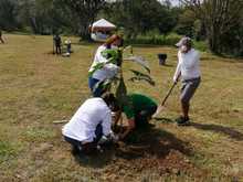 Con adopci&oacute;n de zonas verdes y siembra masiva, Dagma celebr&oacute; el D&iacute;a Nacional de la Biodiversidad