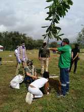 Con adopci&oacute;n de zonas verdes y siembra masiva, Dagma celebr&oacute; el D&iacute;a Nacional de la Biodiversidad