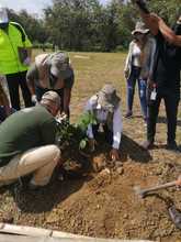 Con adopci&oacute;n de zonas verdes y siembra masiva, Dagma celebr&oacute; el D&iacute;a Nacional de la Biodiversidad