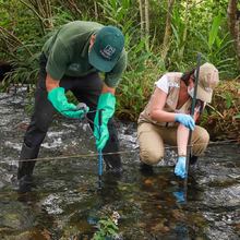 Calidad de agua del río Pance es buena: DAGMA