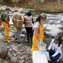 Calidad de agua del río Pance es buena: DAGMA