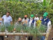 En el corregimiento de Navarro iniciar&aacute; el proyecto movilizador &lsquo;Viviendas Productivas Rurales Sostenibles&rsquo; 