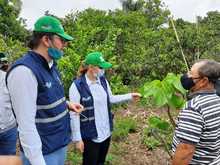 En el corregimiento de Navarro iniciar&aacute; el proyecto movilizador &lsquo;Viviendas Productivas Rurales Sostenibles&rsquo; 