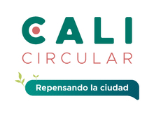 Hoy, Cali Circular elegir&aacute; la idea ganadora  de la Ideat&oacute;n