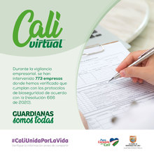 CAMPA&Ntilde;A CALI VIRTUAL FRASES 