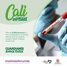 CAMPA&Ntilde;A CALI VIRTUAL FRASES 