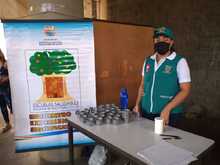 Ni&ntilde;os, ni&ntilde;as y adultos recibieron su vacuna hoy en la IEO Nuevo Latir