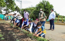 Un acto de amor por Llano verde