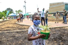 Un acto de amor por Llano verde